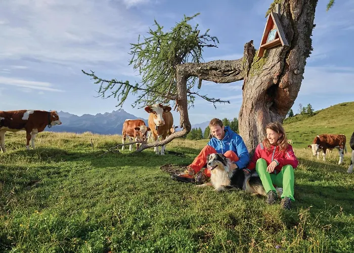 Super With Free Parking